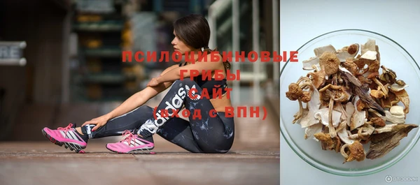 стафф Абаза