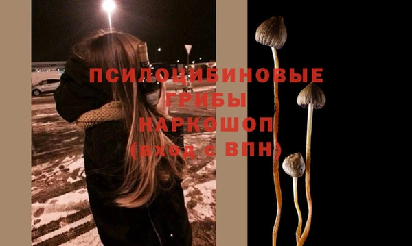 шишки Сясьстрой