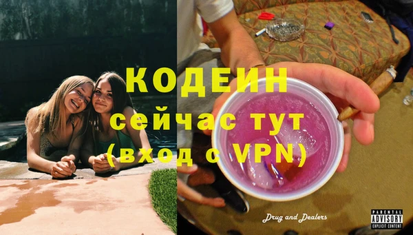 дмт Тайга