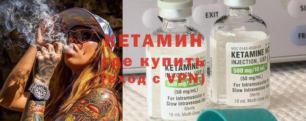 шишки Сясьстрой