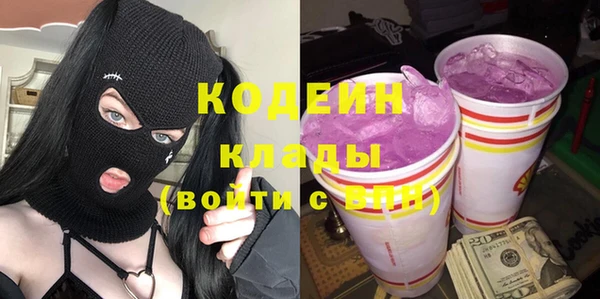 дмт Тайга
