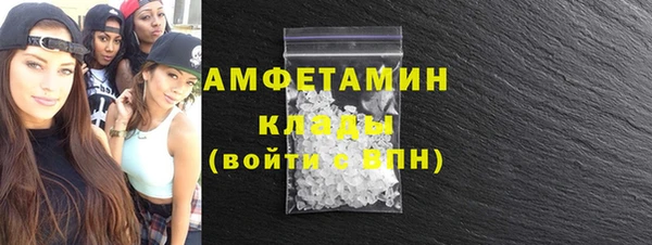 дмт Тайга