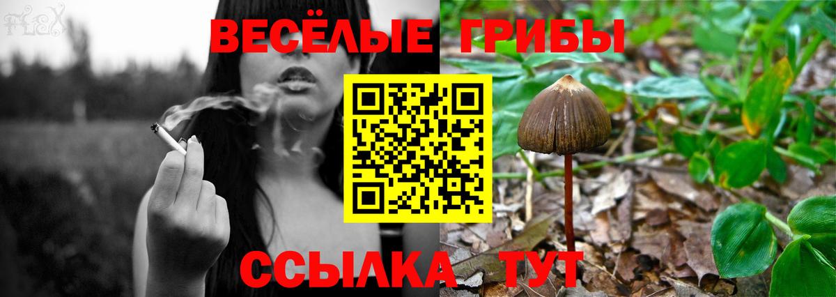  COCAIN Оренбург